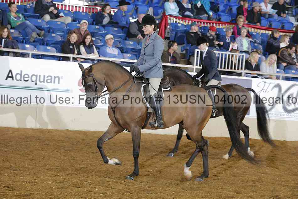 Proof 13usn_04002