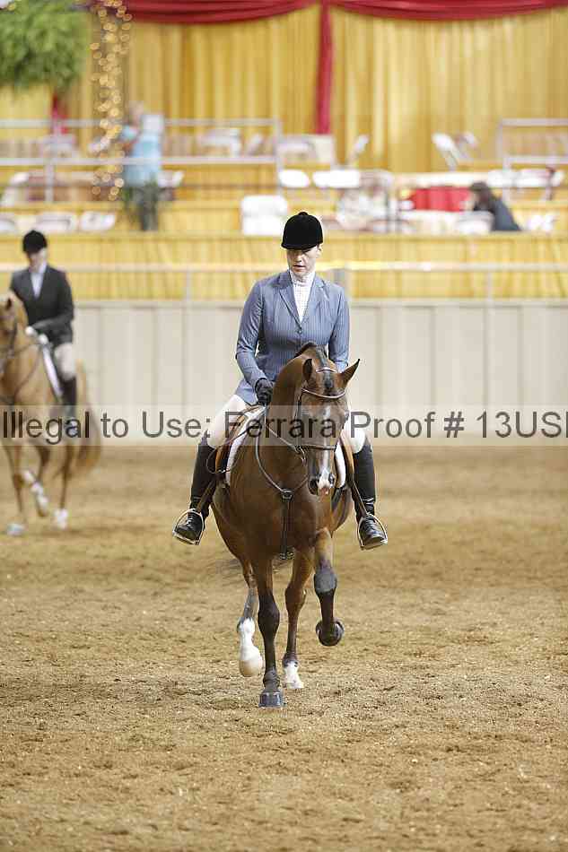 Proof 13usn_04006