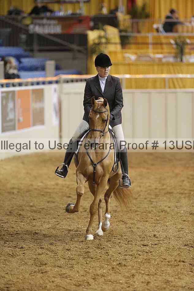 Proof 13usn_04009