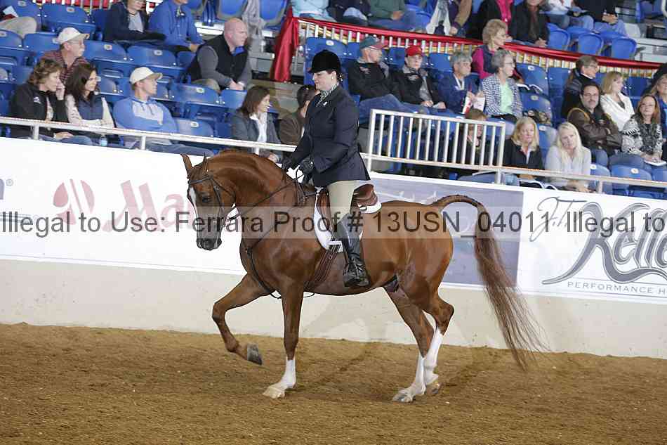 Proof 13usn_04011