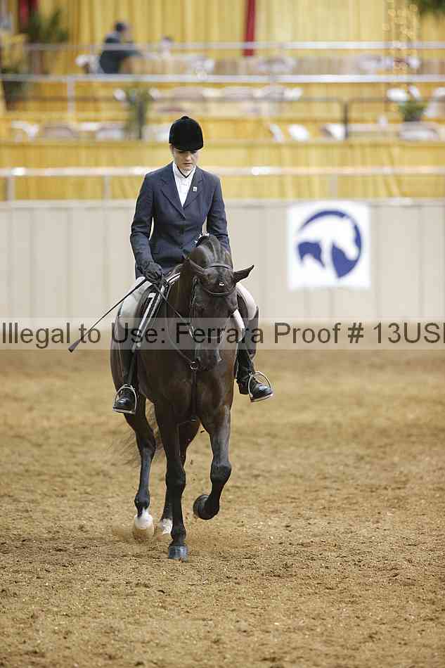 Proof 13usn_04015