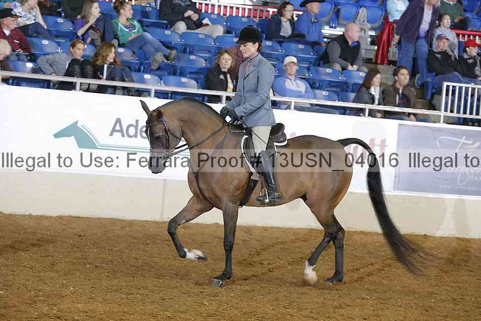 Proof 13usn_04016