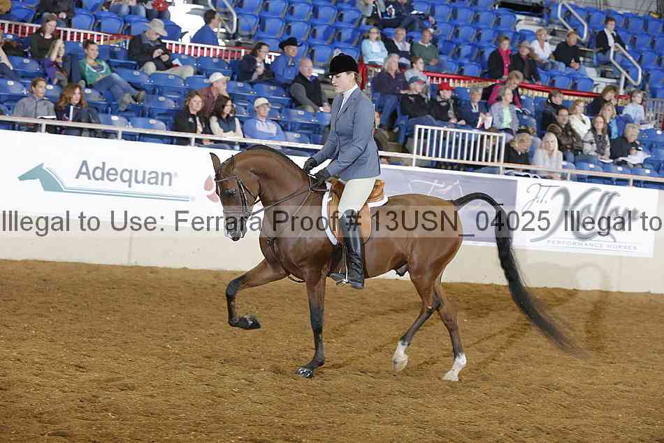 Proof 13usn_04025