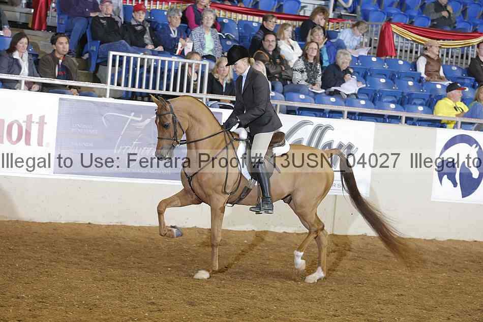 Proof 13usn_04027