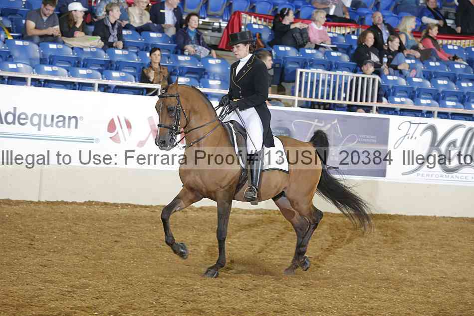 Proof 13usn_20384
