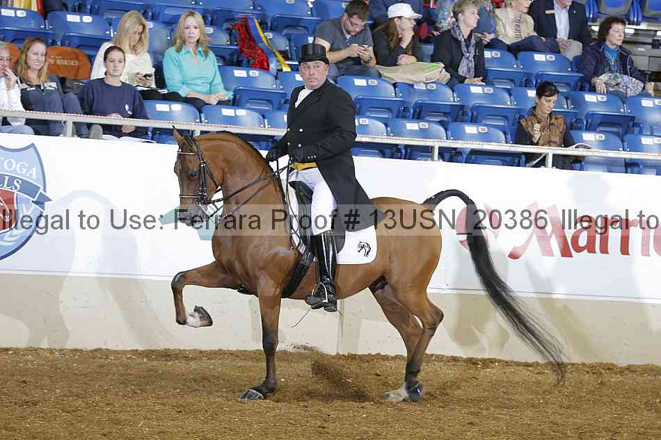 Proof 13usn_20386