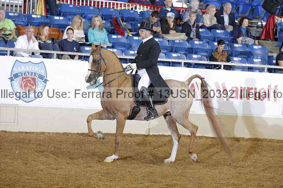 Proof 13usn_20392