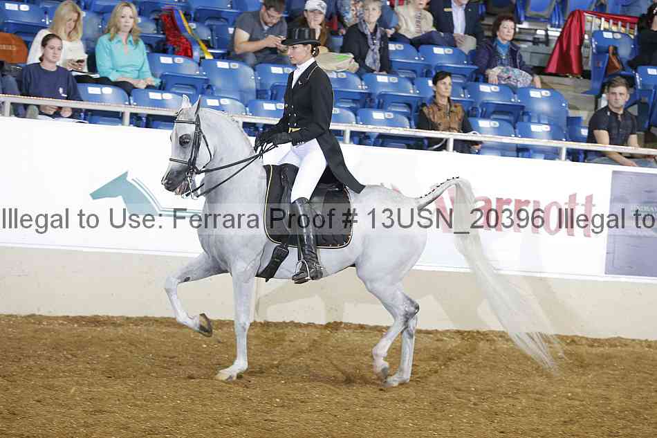 Proof 13usn_20396
