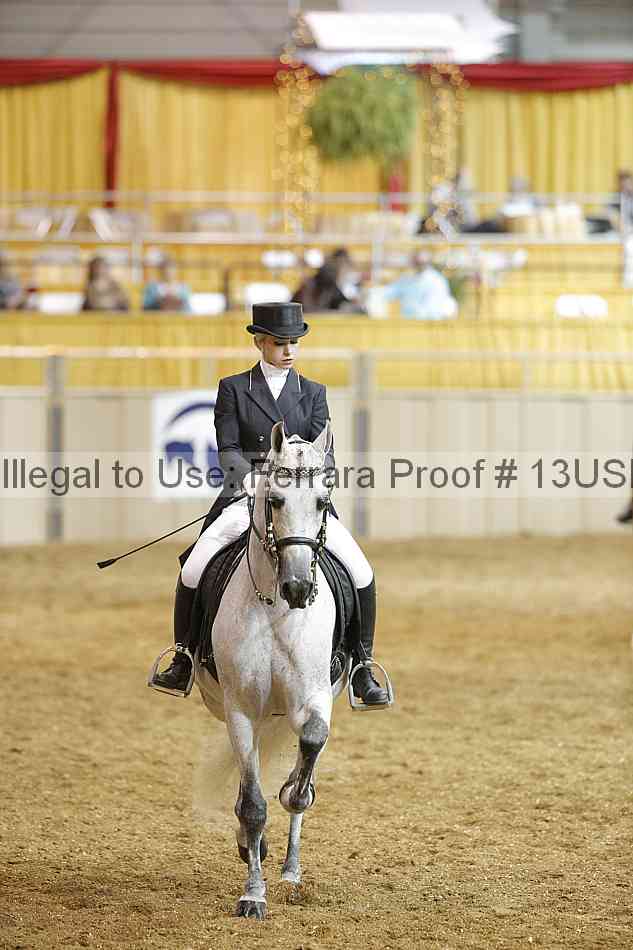 Proof 13usn_20397