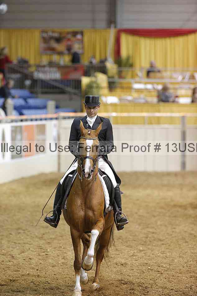 Proof 13usn_20403