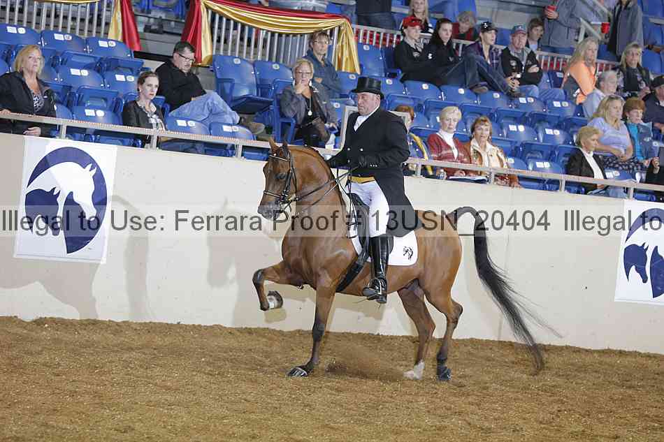 Proof 13usn_20404