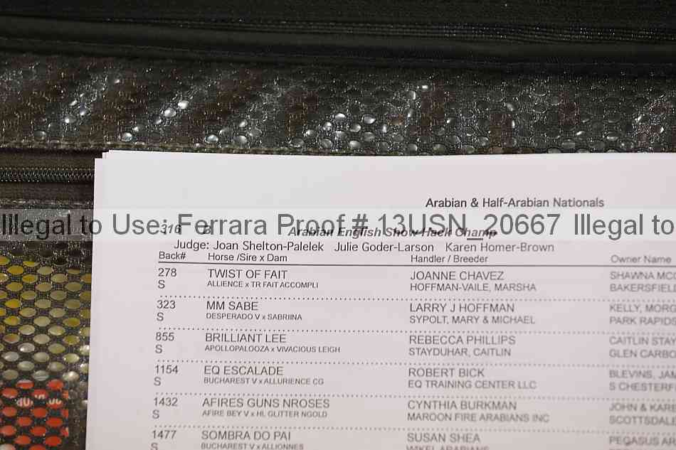 Proof 13usn_20667