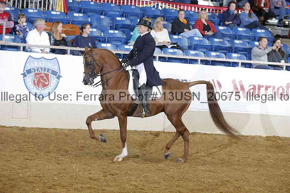 Proof 13usn_20675