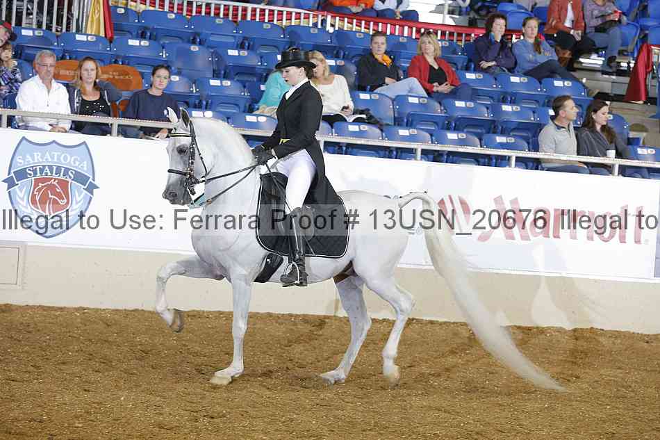 Proof 13usn_20676