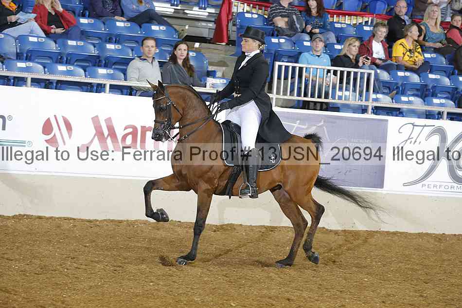 Proof 13usn_20694