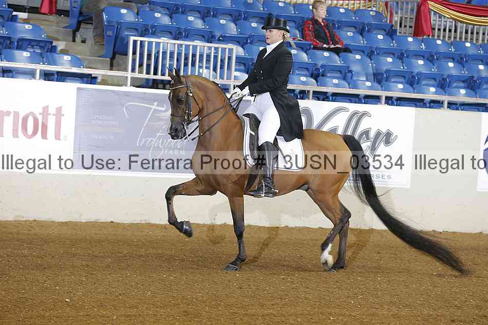 Proof 13usn_03534