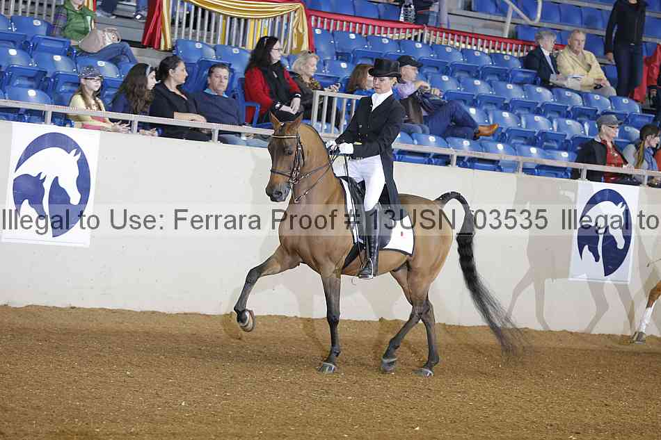 Proof 13usn_03535