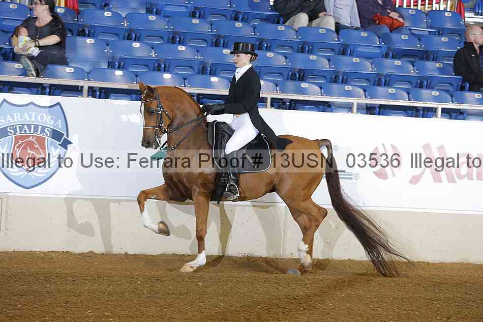 Proof 13usn_03536