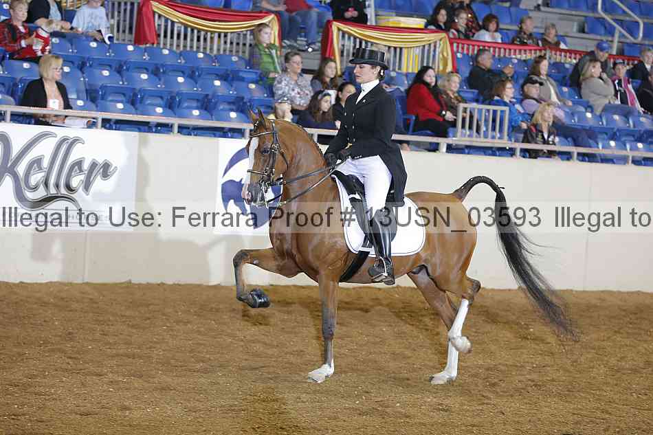 Proof 13usn_03593