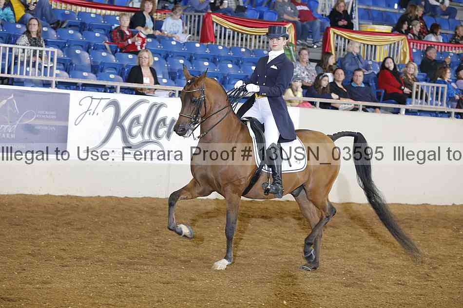 Proof 13usn_03595