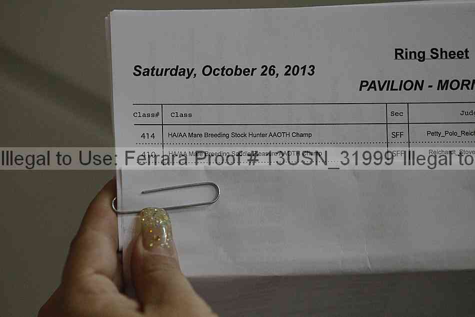 Proof 13usn_31999