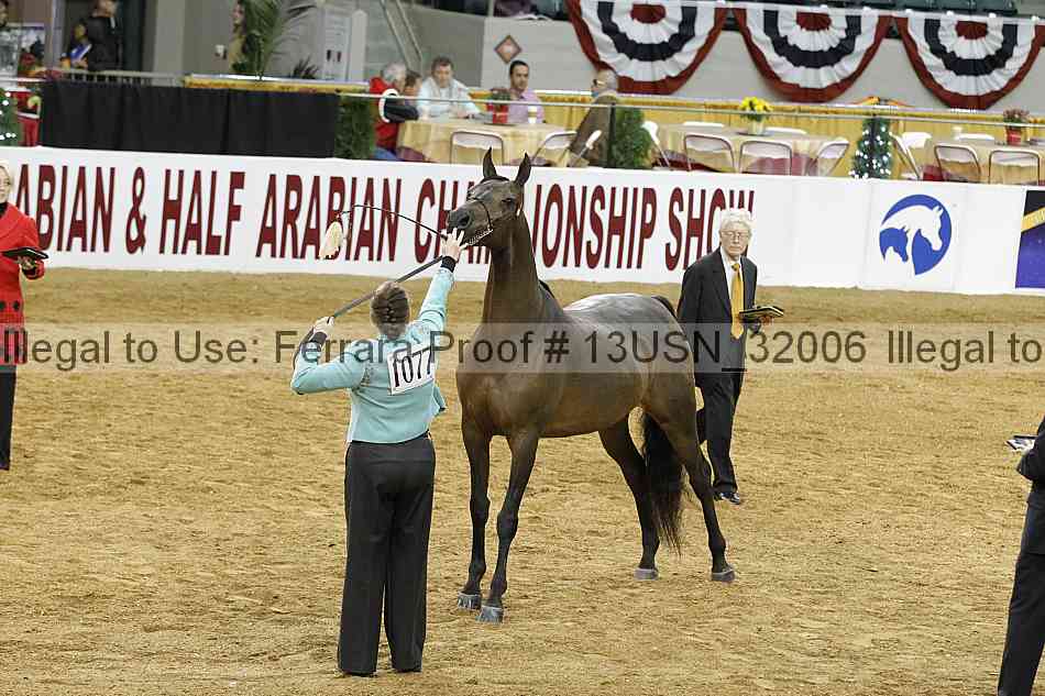 Proof 13usn_32006