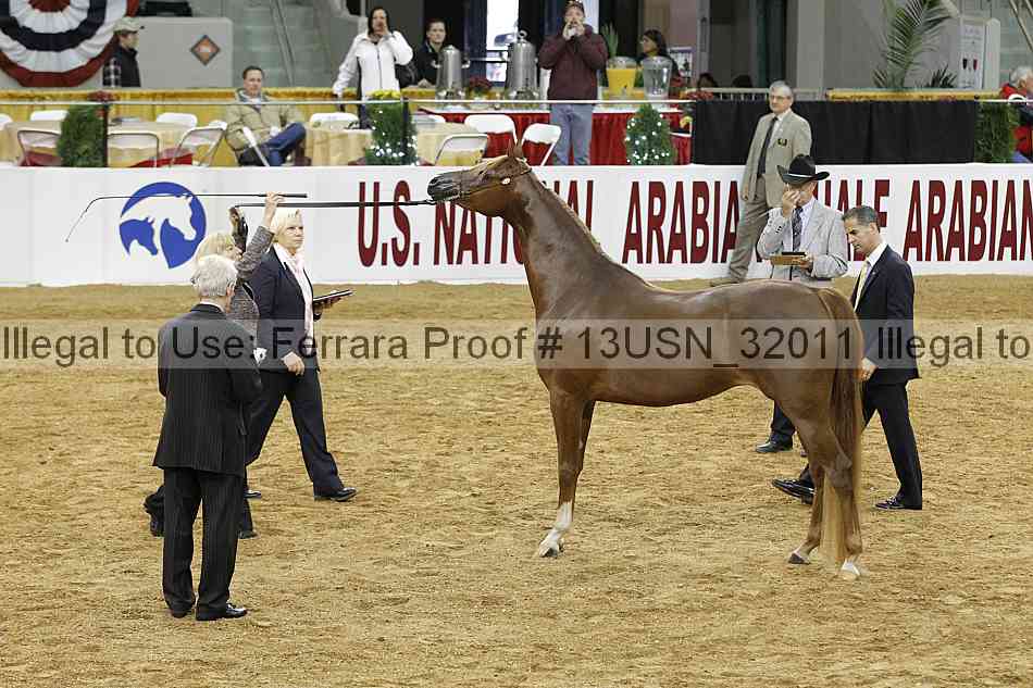 Proof 13usn_32011
