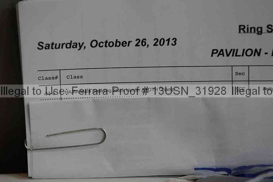 Proof 13usn_31928