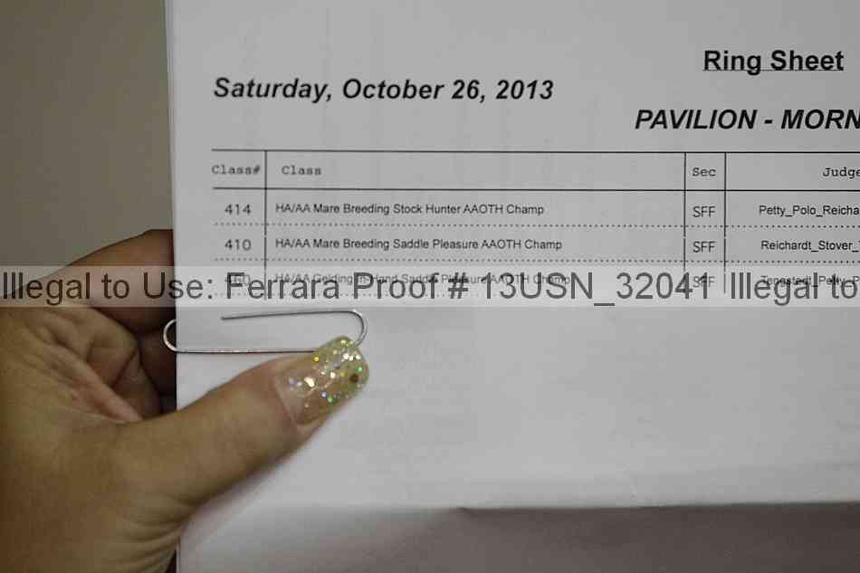 Proof 13usn_32041