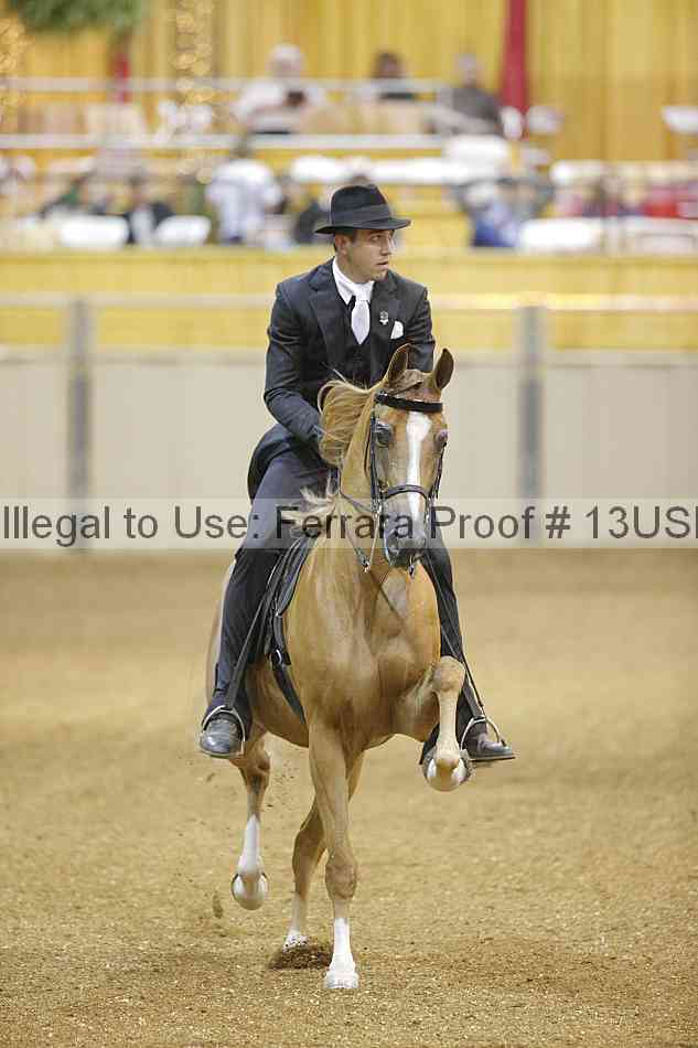 Proof 13usn_26444