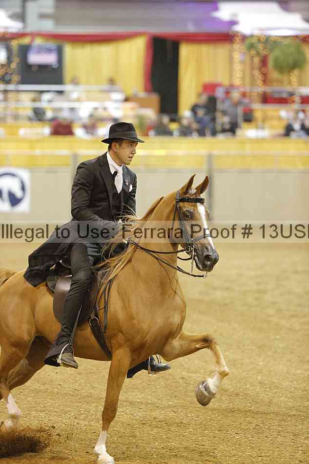 Proof 13usn_26445