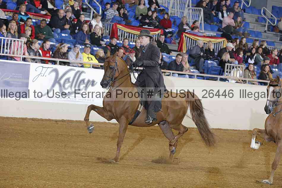 Proof 13usn_26446