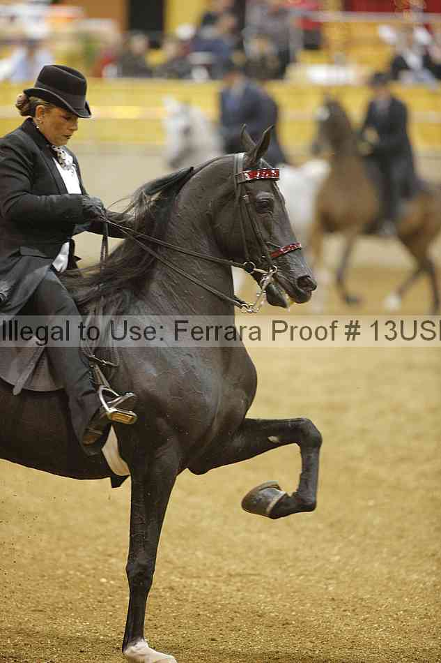 Proof 13usn_26452