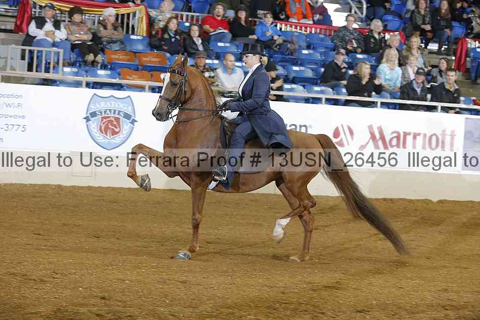 Proof 13usn_26456