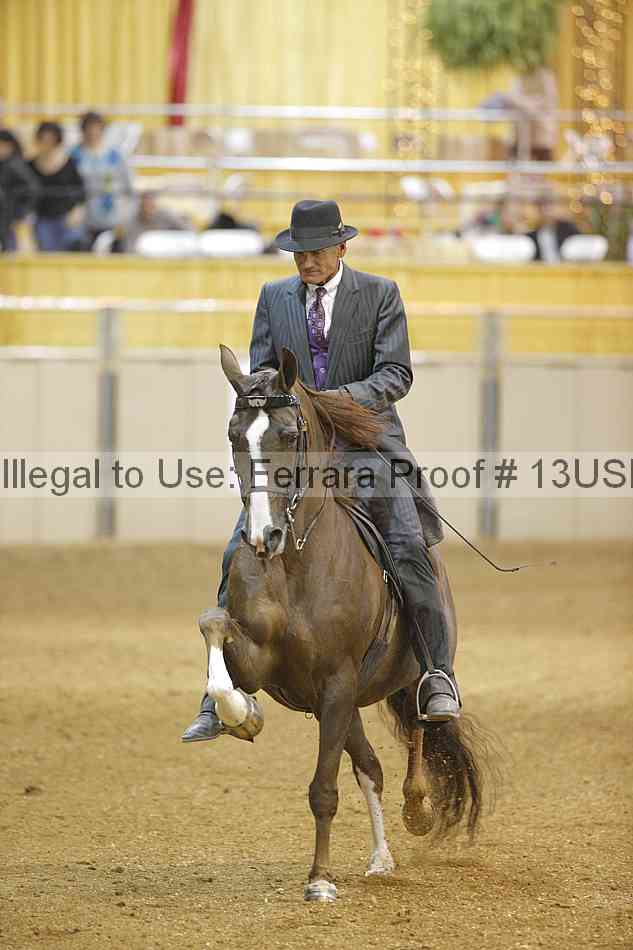 Proof 13usn_26461