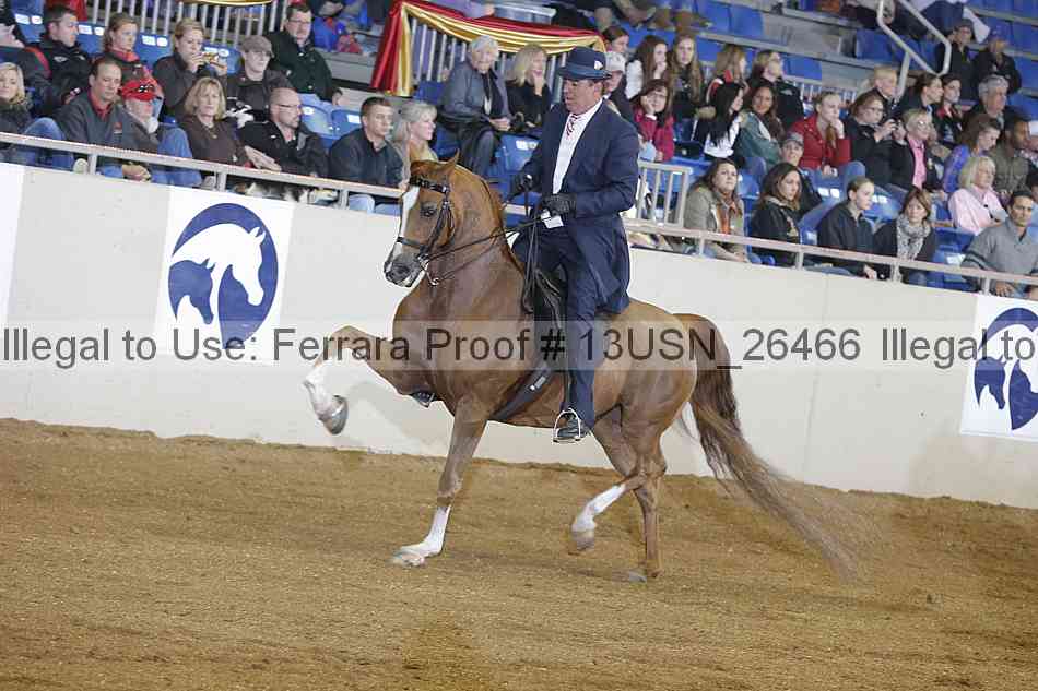 Proof 13usn_26466