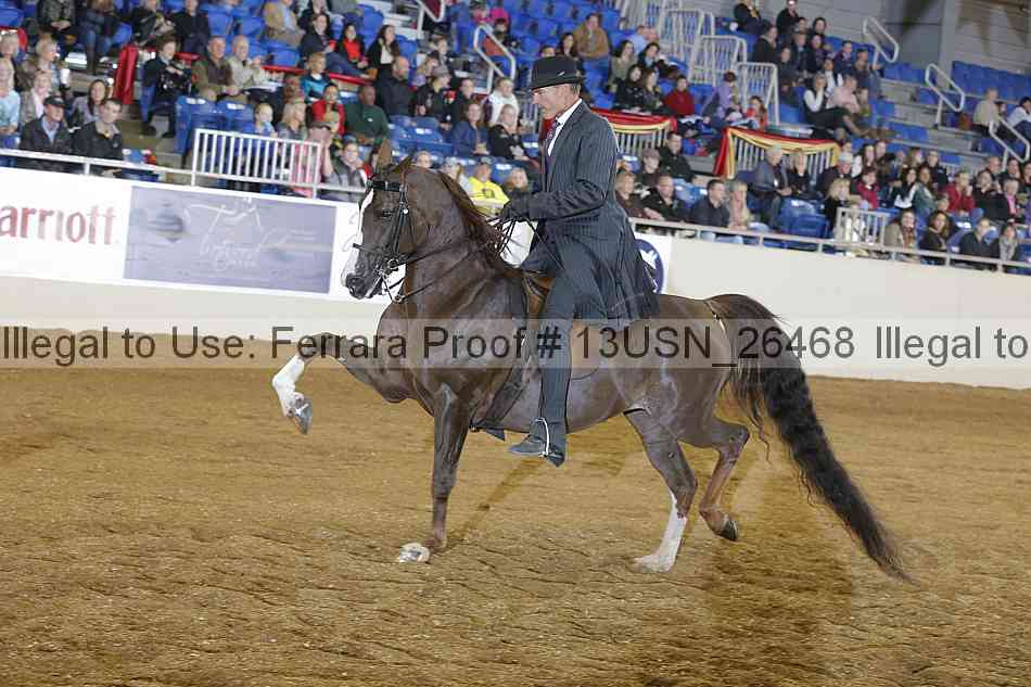 Proof 13usn_26468