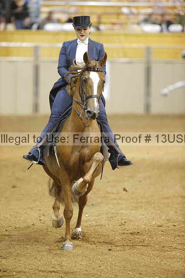 Proof 13usn_26472
