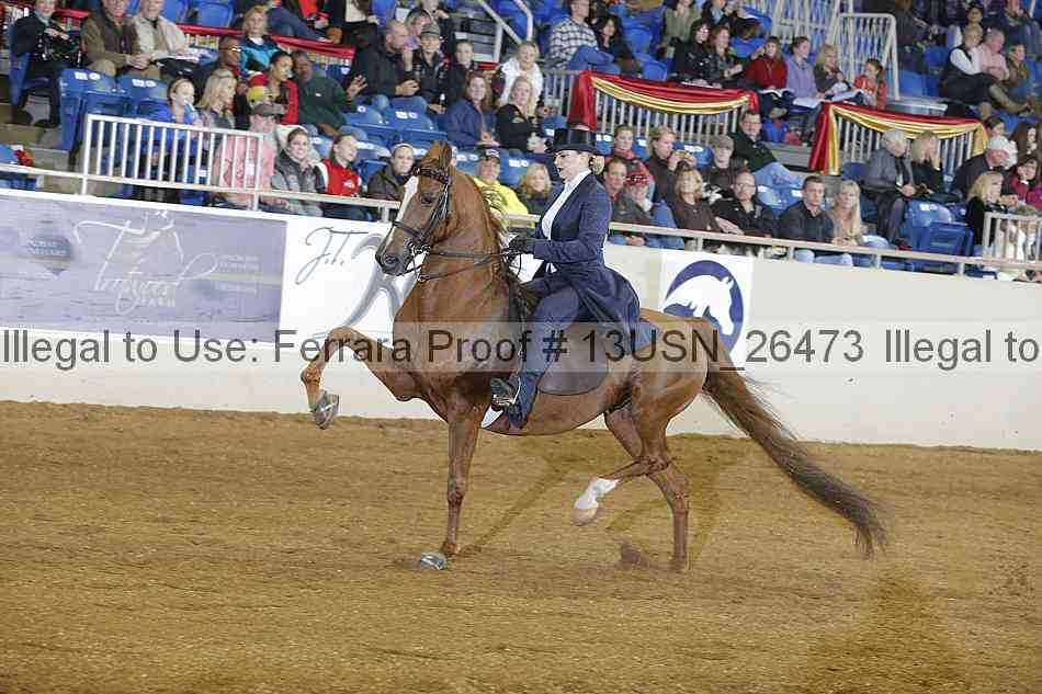 Proof 13usn_26473