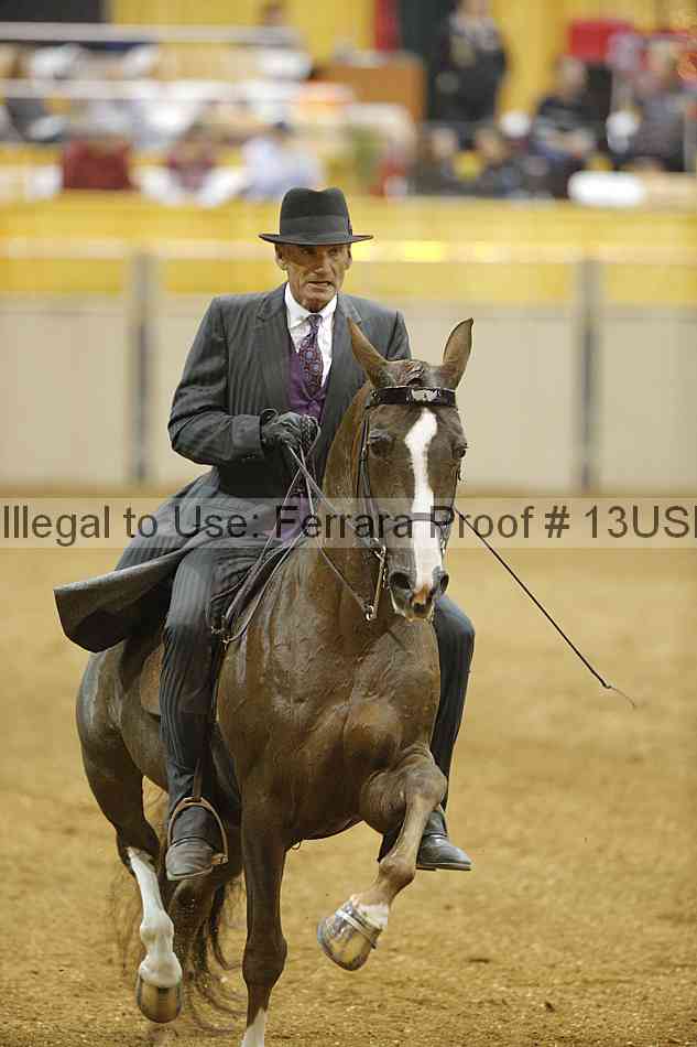 Proof 13usn_26478