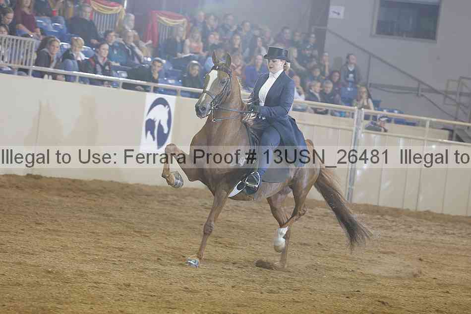 Proof 13usn_26481