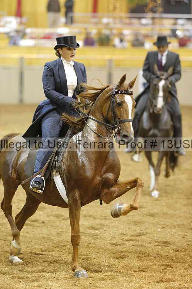 Proof 13usn_26494