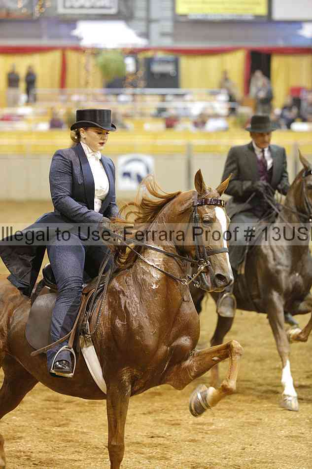 Proof 13usn_26496