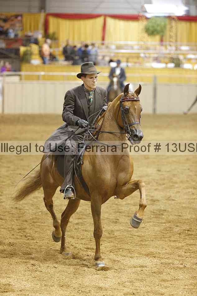 Proof 13usn_26567