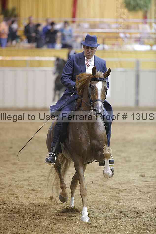 Proof 13usn_26573
