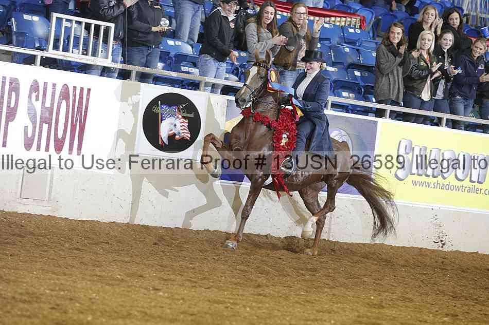 Proof 13usn_26589