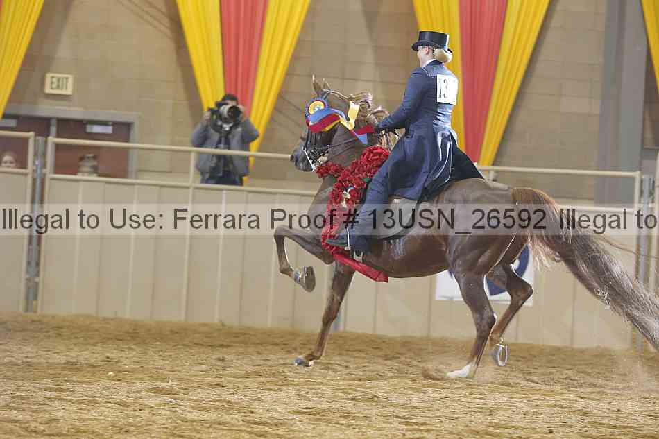 Proof 13usn_26592