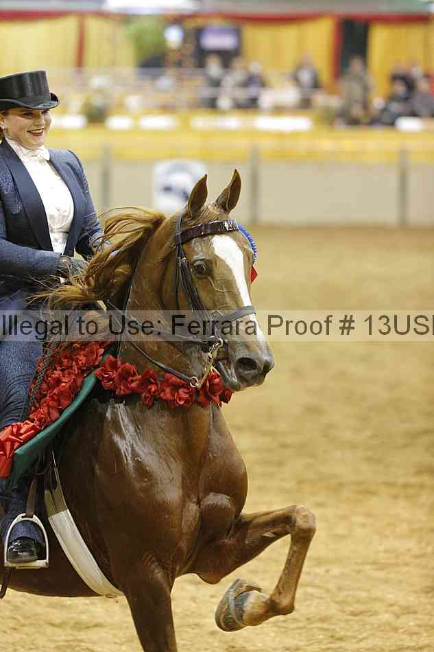 Proof 13usn_26594