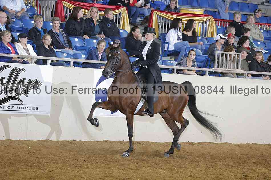 Proof 13usn_08844