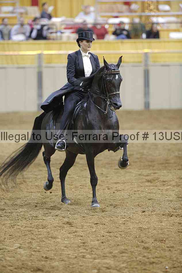 Proof 13usn_08852